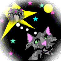 ToonaCat is a star!